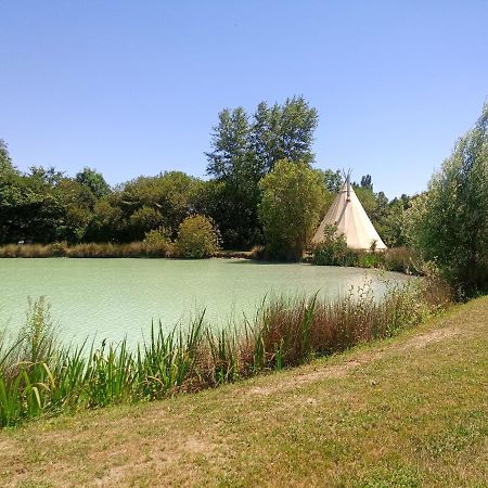 Shanti Lac Cabanes Gites Insolites Et Espace Bien-Etre Bordeaux Berson Exterior photo